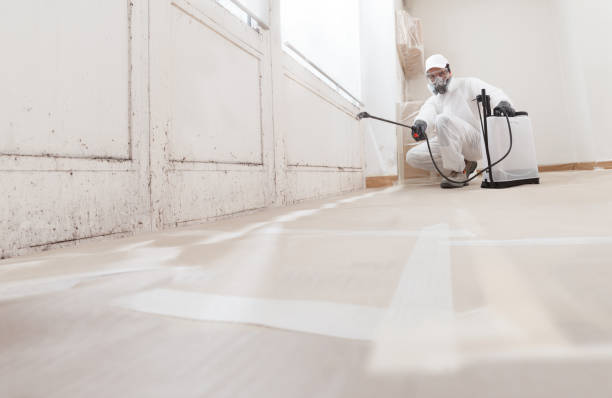 Black mold remediation team in Columbus